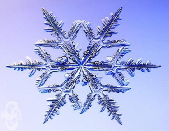 azares winter